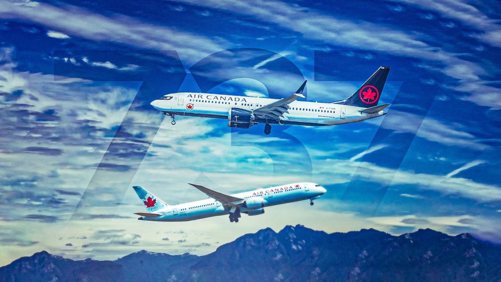 Woman Infuriated After Air Canada Offered A $200 Apology Voucher For Losing Husband’s Ashes