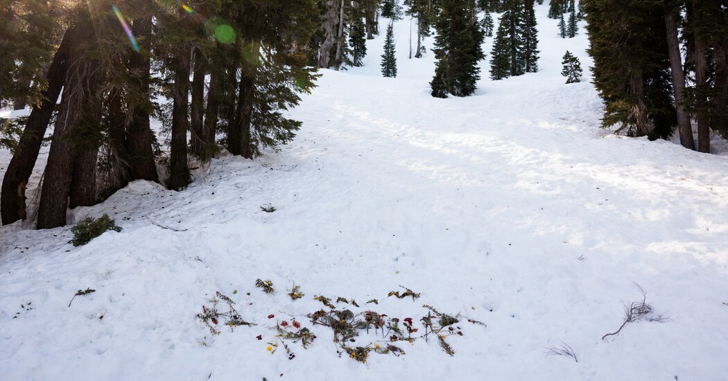 Blackbird Mountain Guides Report on Lake Tahoe Avalanche That Killed 9 Skiers Assigns No Blame.