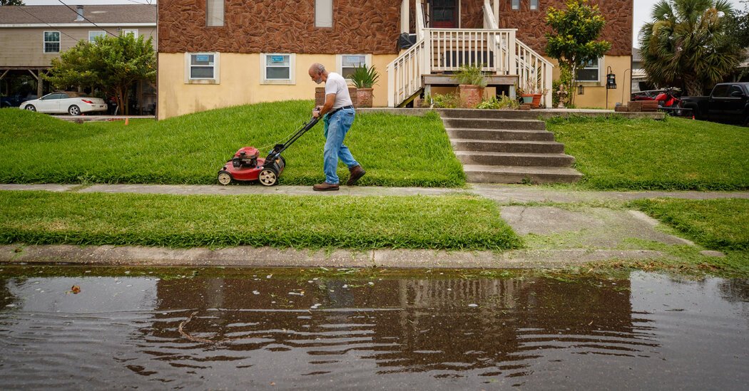 Outbreak of Vibrio Vulnificus, a Flesh-Eating Bacteria, Kills 5 in Louisiana