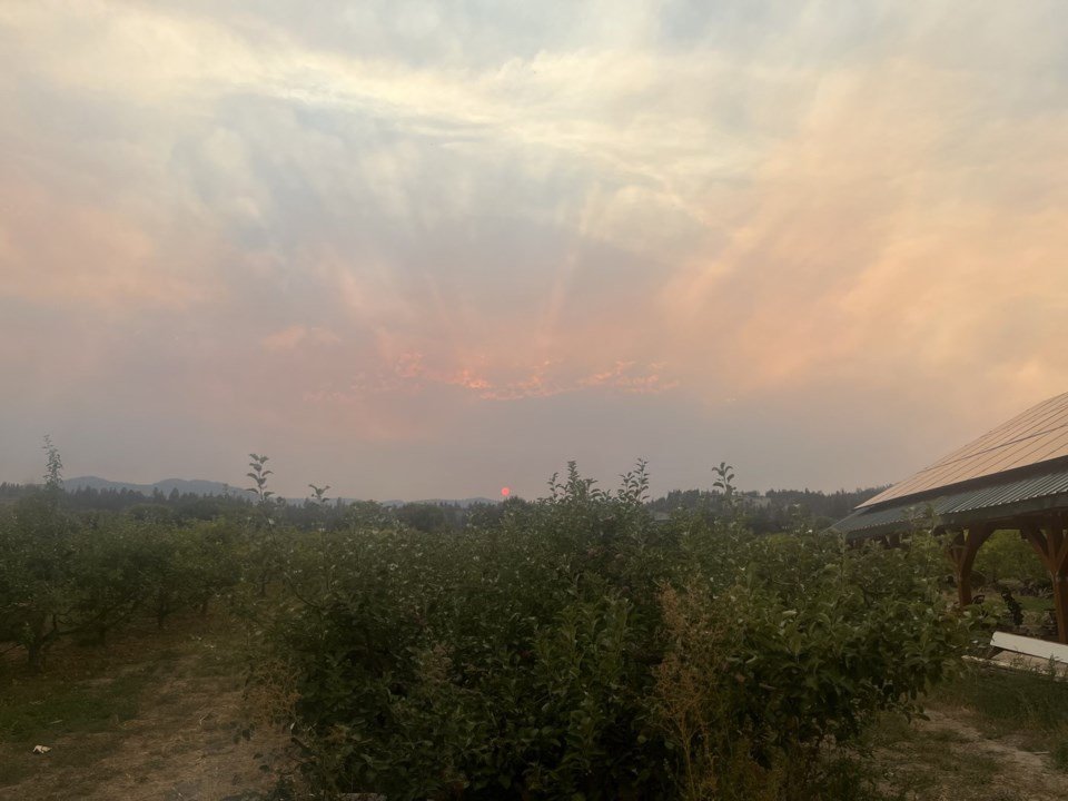 'We will lose a lot of our annual crops': B.C. farmers face losses due to wildfires