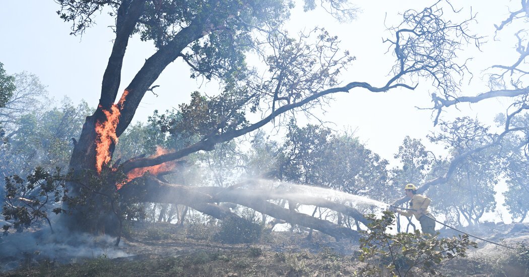 Wildfire Forces Evacuations in Big Sur, Along California’s Famed Central Coast
