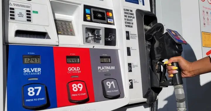 Poilievre urges Carney to keep fuel excise tax suspended until Canada Day – National