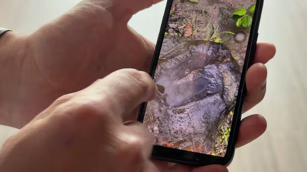 How a road trip detour to Tumbler Ridge led this tourist from Taiwan to a 100-million-year-old dinosaur track