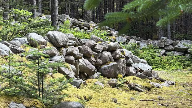 The mystery of the ‘Great Wall’ of Hant’s Harbour