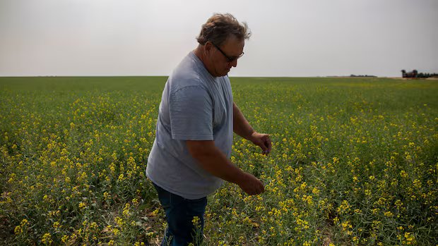‘Steadfast champion’: Sask. senator Todd Lewis dies at 65