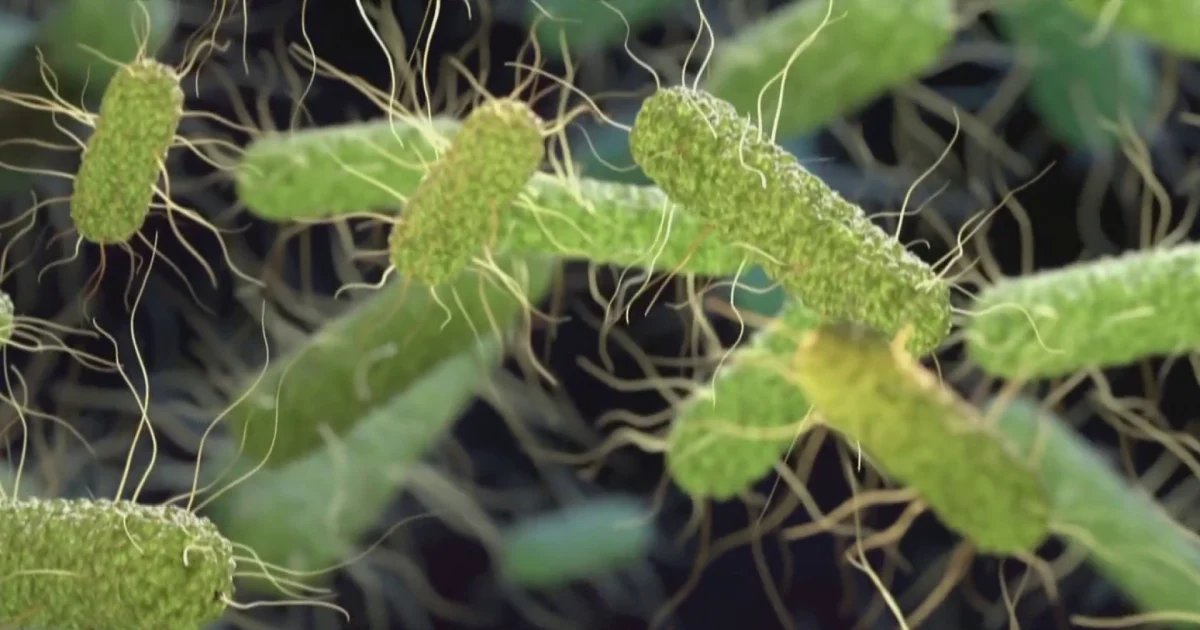Salmonella outbreak expands to 27 states