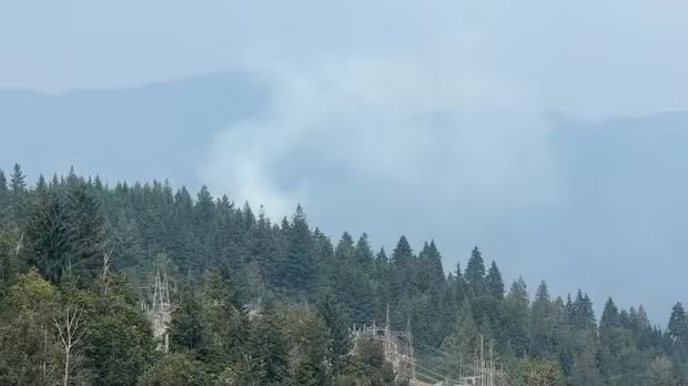 Wildfire breaks out in Metro Vancouver’s Belcarra Regional Park