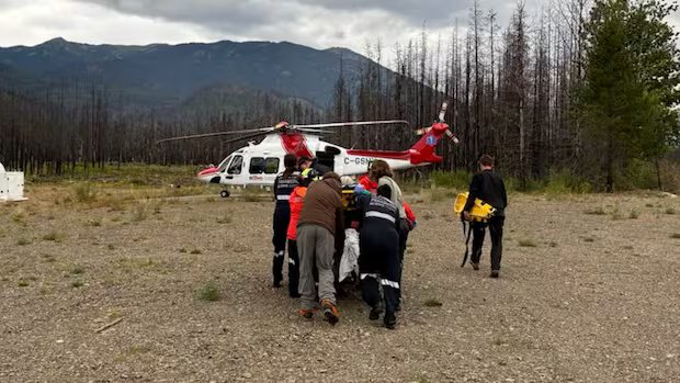 72-year-old hiker attacked by grizzly bear in B.C.