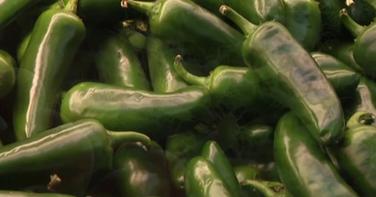 Salmonella outbreak expands to 27 states 