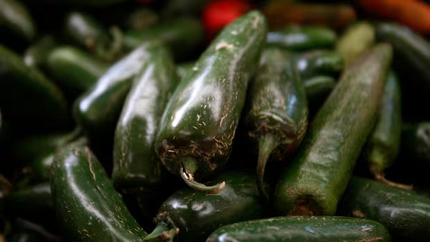 Jalapeno-linked salmonella outbreak hits 27 U.S. states. What’s the risk in Canada?