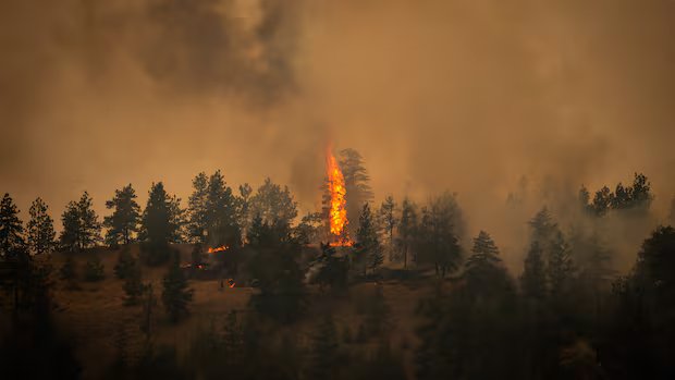What you need to know about B.C. wildfires on Aug. 9