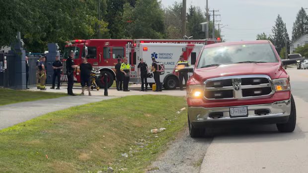 3-year-old girl hospitalized after Maple Ridge, B.C., bear attack