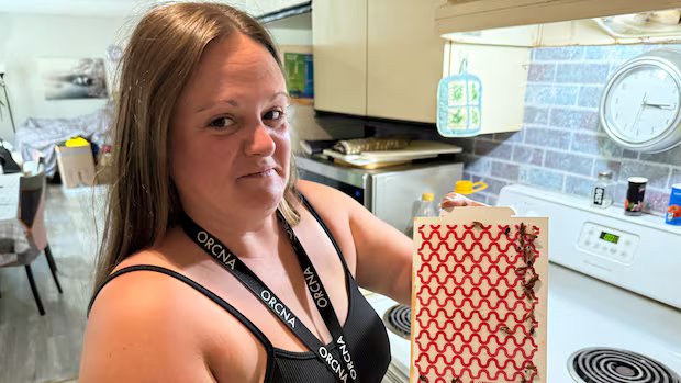 Years-long cockroach infestation prompts Sudbury, Ont., tenant to petition others to have building fumigated