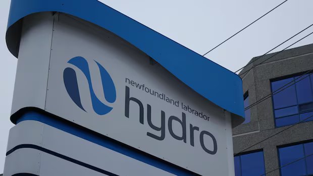 Bird strike leaves more than 1,000 without power on Newfoundland’s west coast