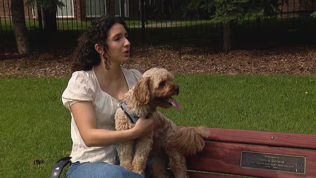 Dog walk through downtown Edmonton park turns into vet visit for suspected opioid poisoning