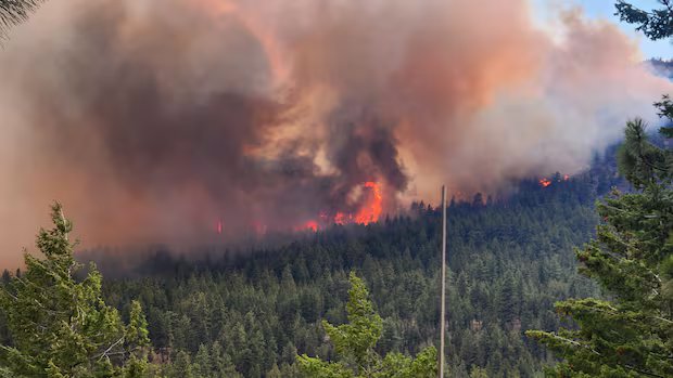 What you need to know about B.C. wildfires on Aug. 12