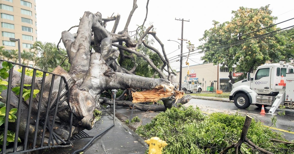 Hurricane Lala Pummels Hawaii, Causing Widespread Damage