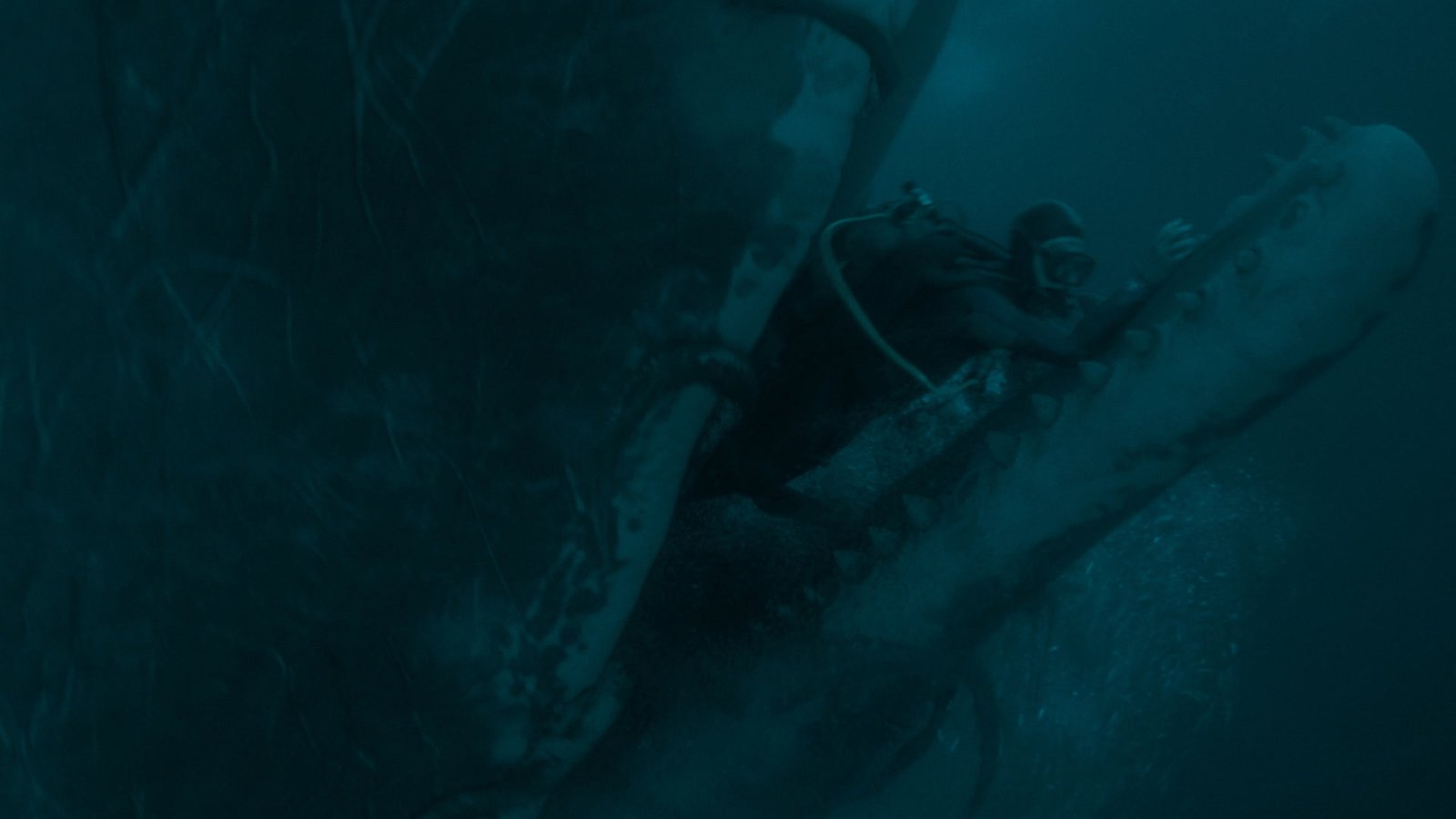 'Whalefall' Trailer