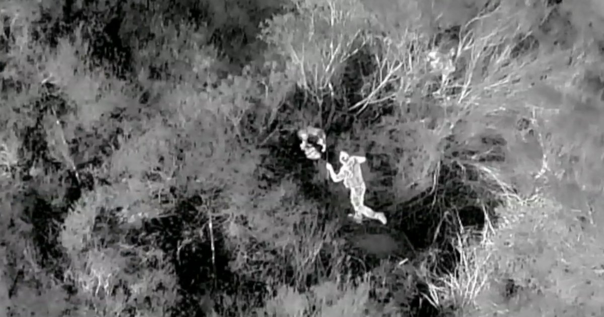 How drones are revolutionizing the search for lost pets