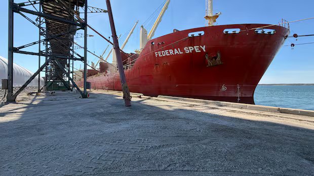Grain being shipped out of Port of Churchill for 1st time in 6 years