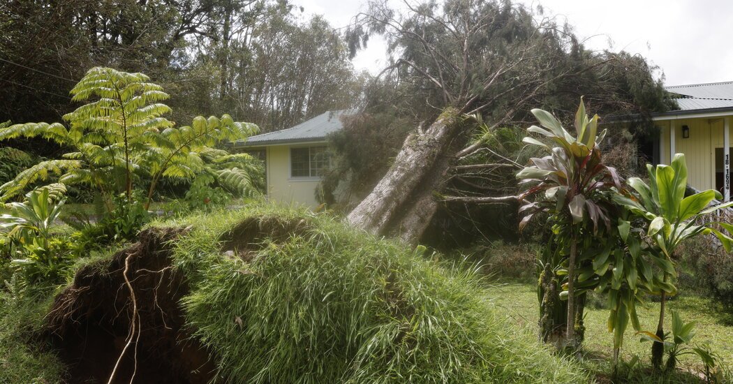What We Know About Damages From Hurricane Lala in Hawaii