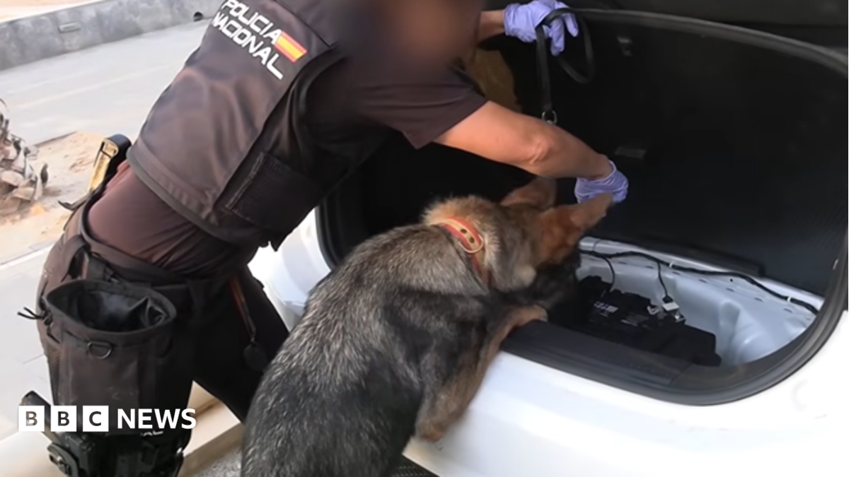 Spanish police arrest 78 people in bust of ‘one of largest’ smuggling networks