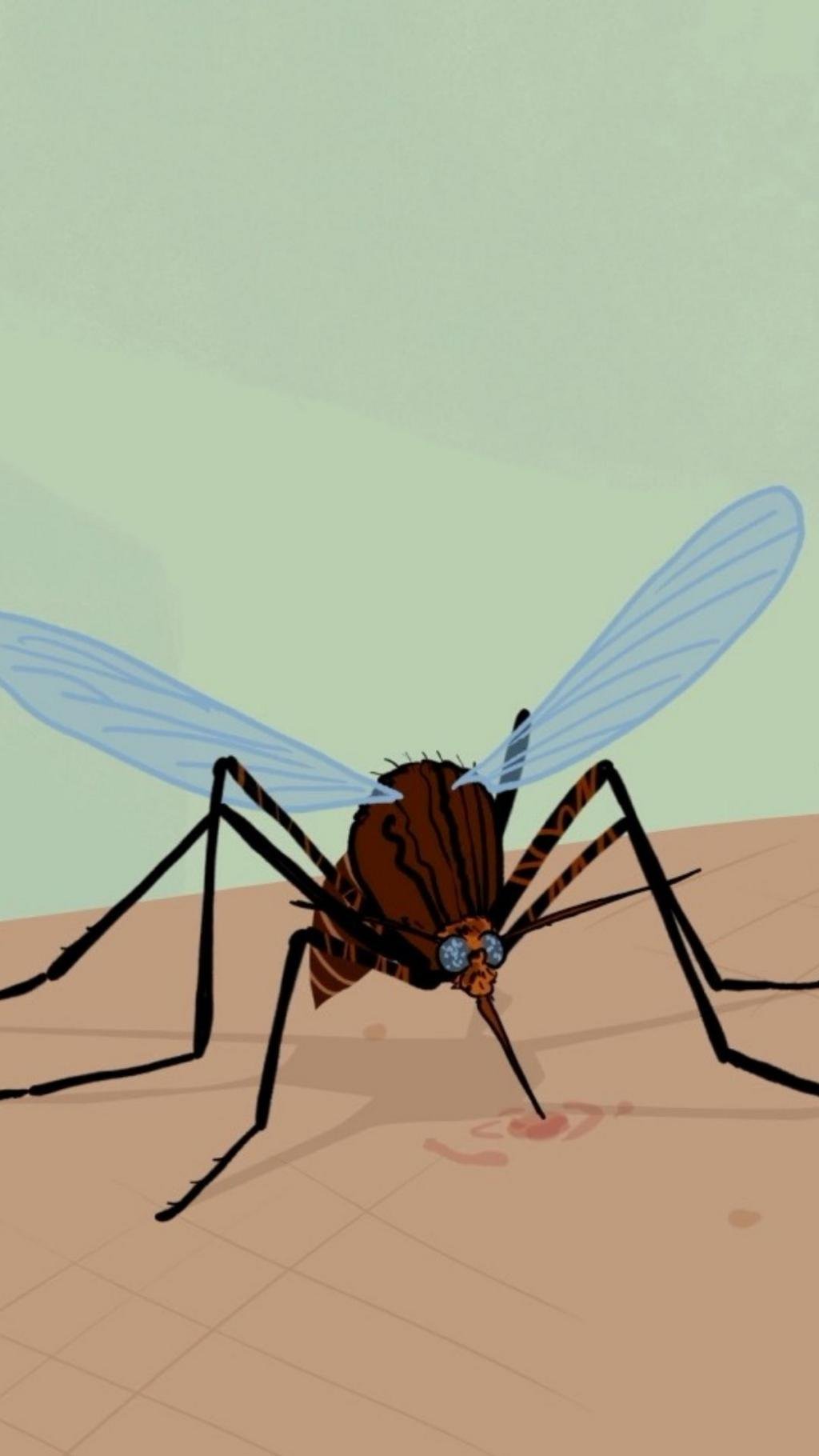 Fighting the world's most deadly animal… in an unexpected way
