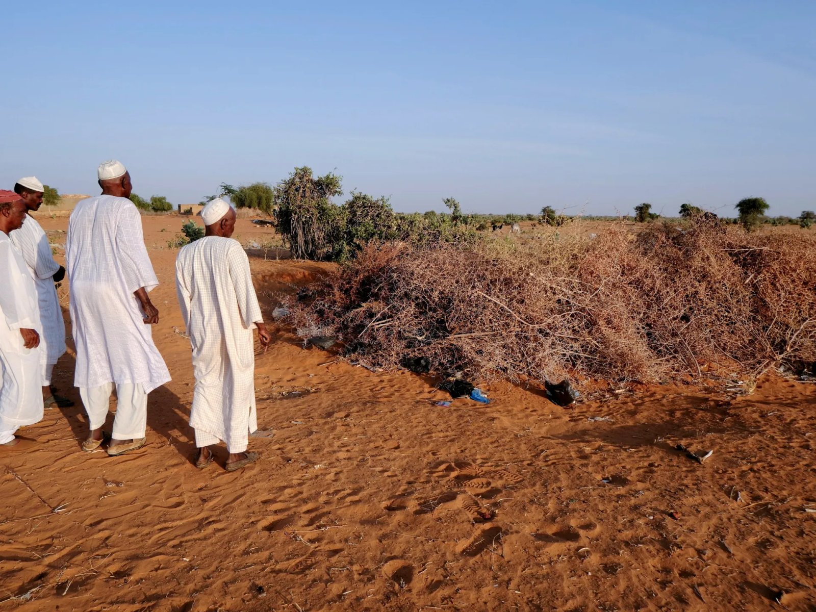 Mass grave with 25 bodies found in Sudan’s Kurmuk after army retakes town | Sudan war News