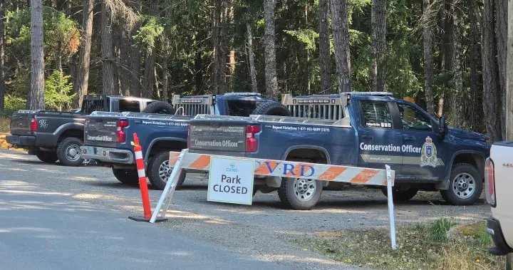 Vancouver Island park closed following black bear attack – BC