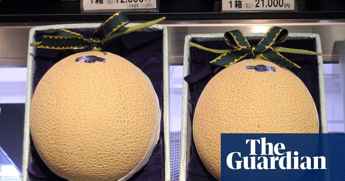 Australia has been galvanised by ‘melon-gate’. So what is the luxury fruit at the centre of the PM’s controversy? | Australian politics