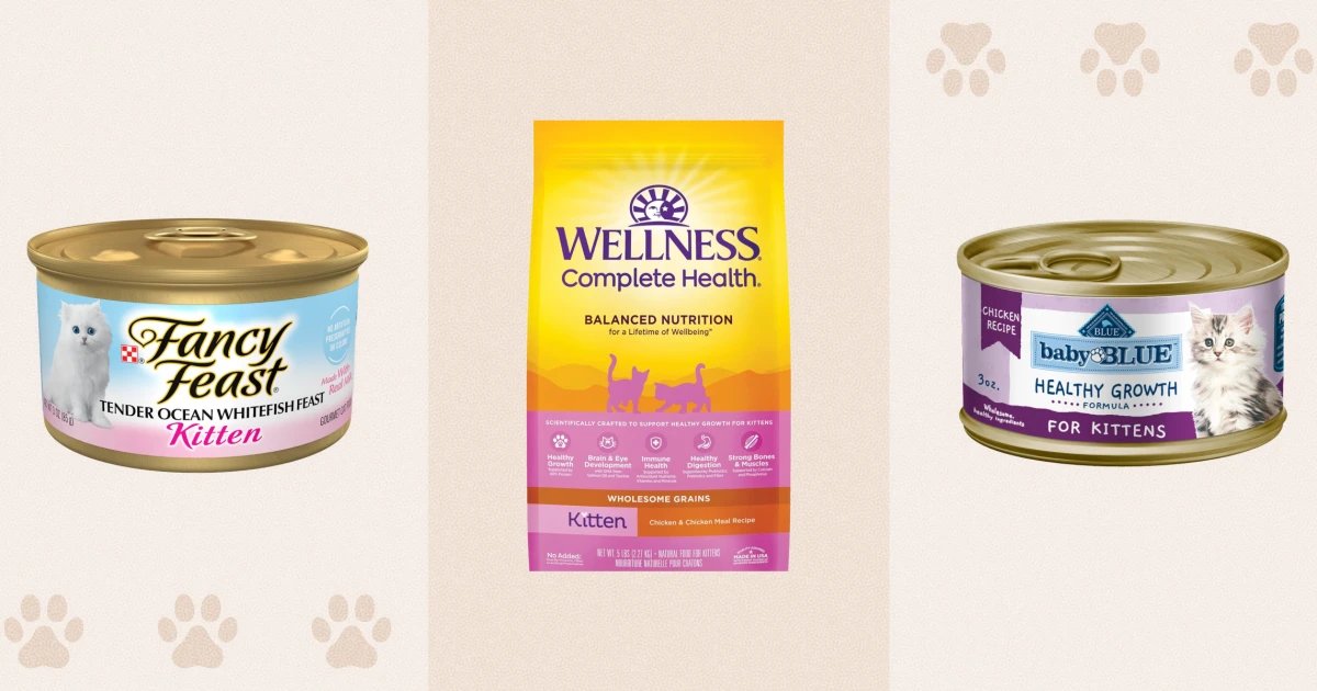 10 Best Kitten Foods That Fuel Healthy Growth, Vet-Approved