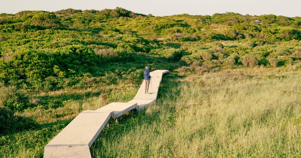 Jackie Kennedy Onassis’ Private Beach on Martha’s Vineyard Is Open to All. But It’s a Hike.