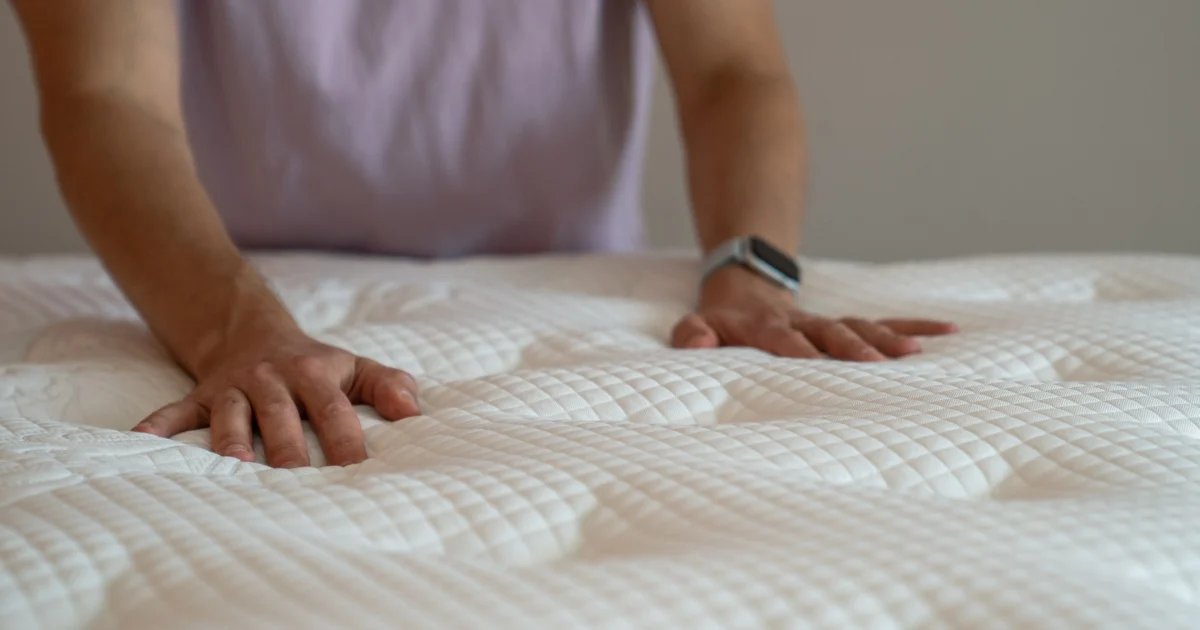 How to Get Rid of Bed Bugs