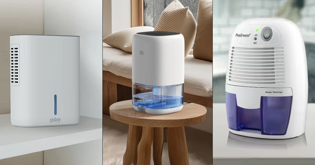 The Best Dehumidifiers for Small Rooms