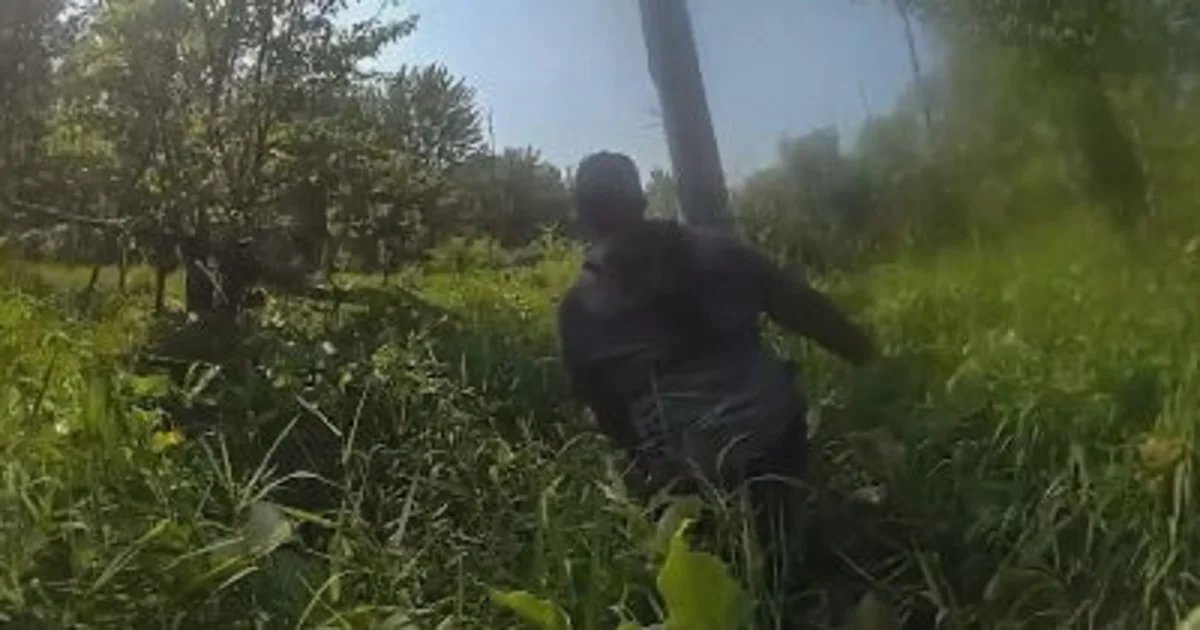 River tubers’ 4-hour tour turned into 3 days of survival in remote Michigan woods