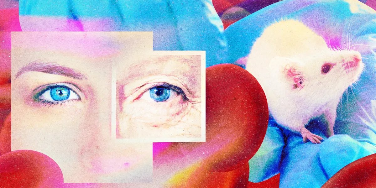 A startup claims it’s found a drug to make your blood young