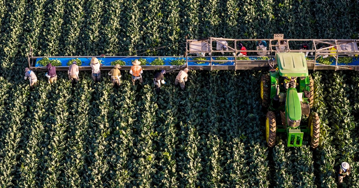 Colorado River water cuts are coming to Arizona. What will happen to America’s salads?