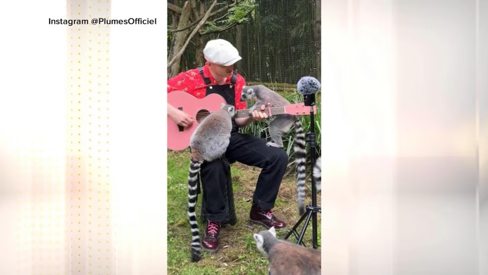 WATCH:  Why 1 man is serenading animals across the globe