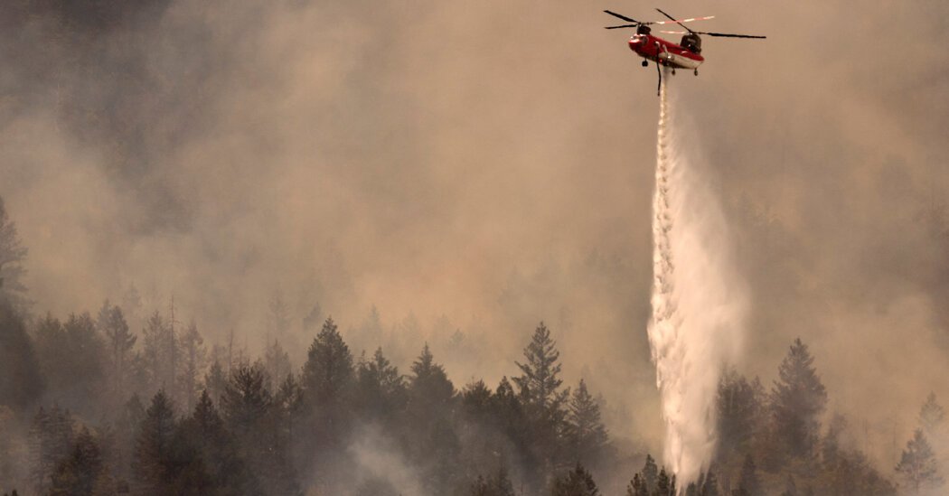 Napa County Winery Worker Charged With Starting Pickett Fire That Damaged Grape Harvests
