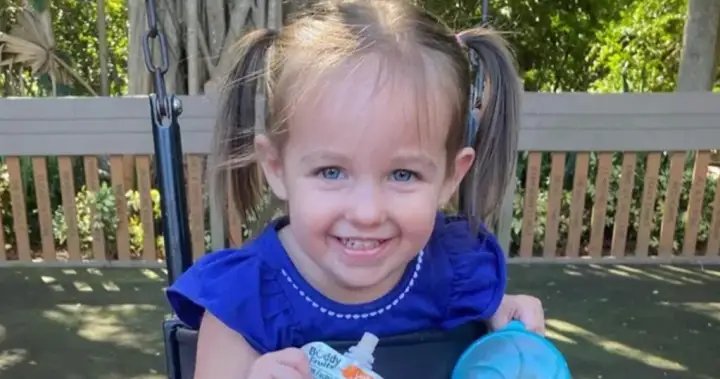 Florida 3-year-old dead after getting head stuck in kitchen play set: police – National