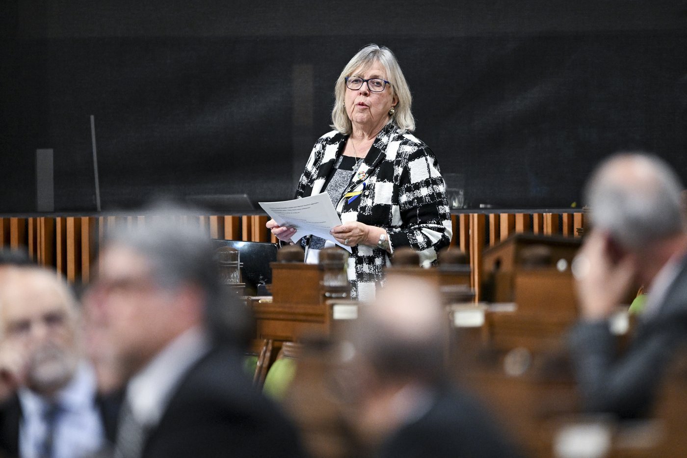 Elizabeth May says Greens can win byelection by campaigning on PM’s climate record