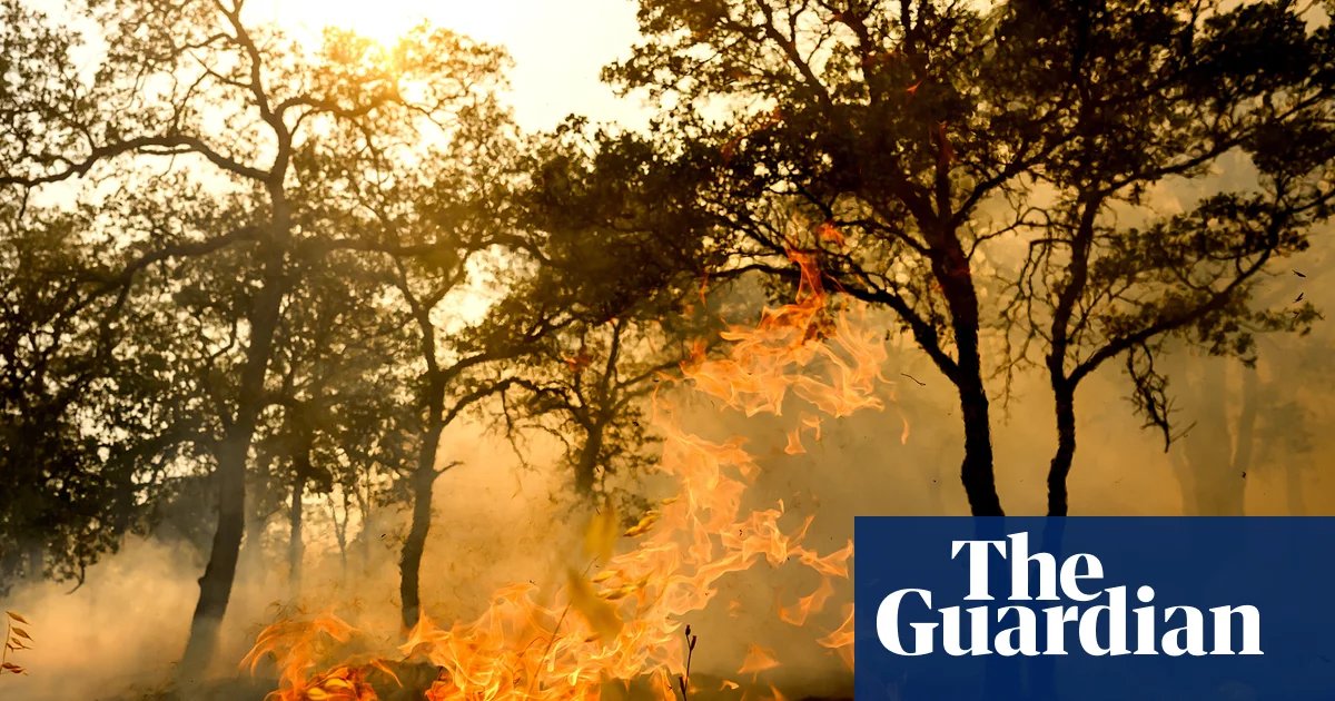 At least one person dead in California wildfire allegedly sparked by chainsaw | California wildfires