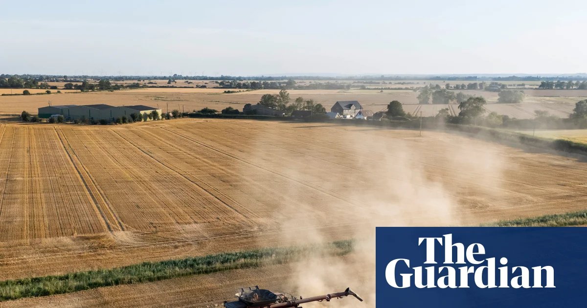Britain could face food shortages as drought continues, farmers warn | Farming
