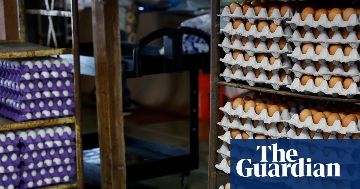 Massive egg recall in US south and south-west due to salmonella outbreak | US news