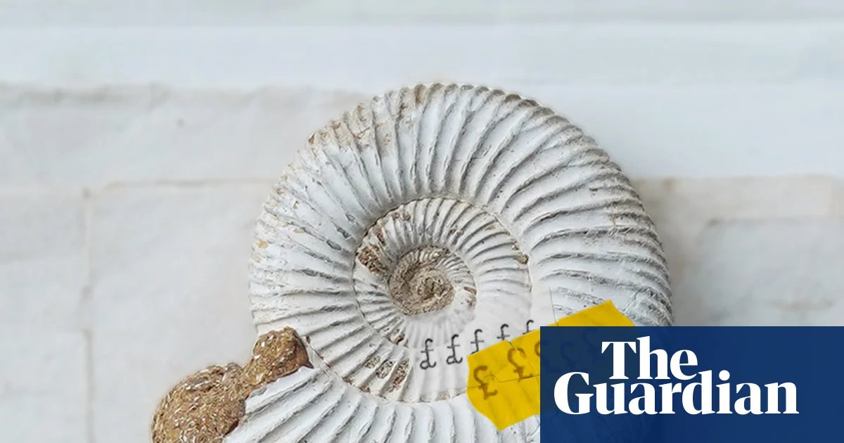 One of UK’s best fossil collections sold overseas in ‘loss to the nation’ | Fossils