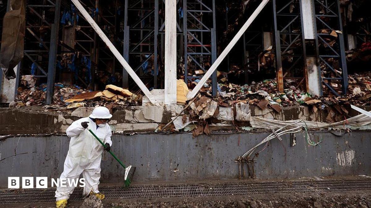 Tonnes of rotting food create unbearable stench in LA neighbourhood