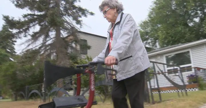 Calgary woman feeling stuck as Home Services for Seniors eligibility runs out – Calgary