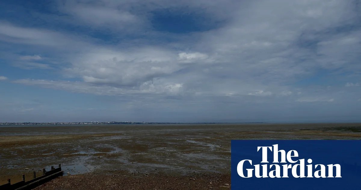 UK temperatures could hit 36C as fifth heatwave of summer looms | UK weather