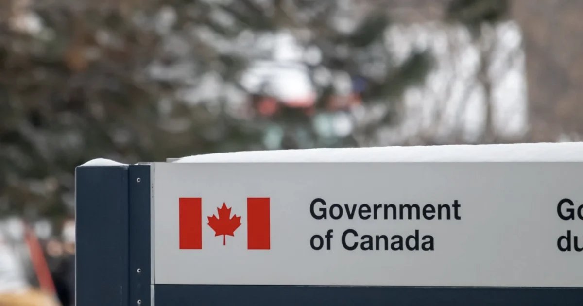 Health Canada issues recall for several cheese products due to generic E. Coli