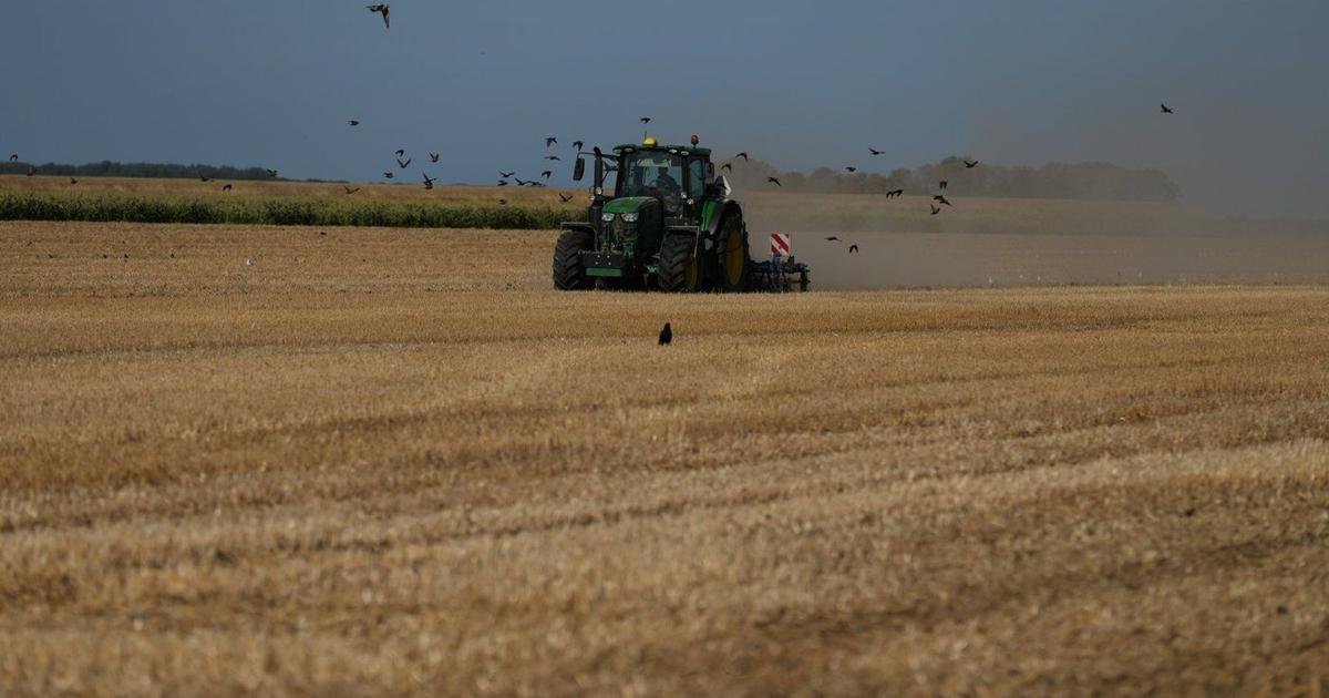 A punishing European drought shrivels crops from Dutch potatoes to Bosnian corn